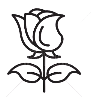 276746017-removebg-preview